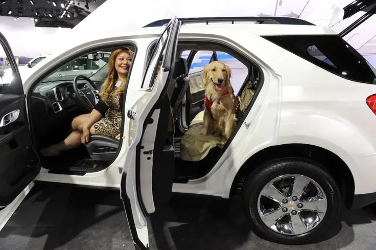 Chevrolet Equinox with a dog